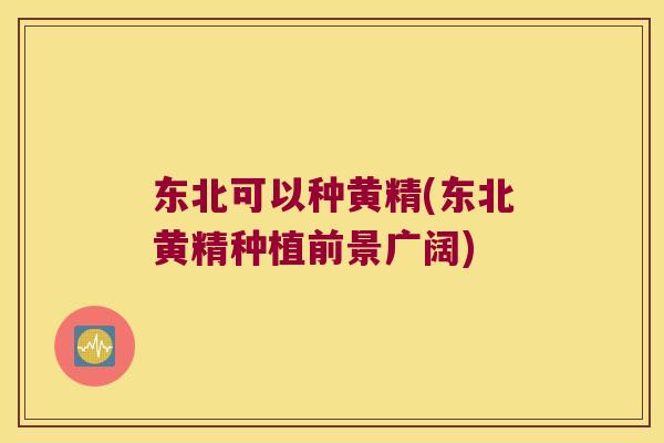 东北可以种黄精(东北黄精种植前景广阔)