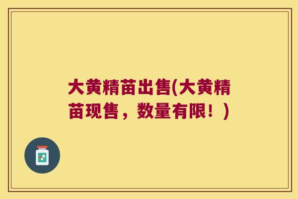 大黄精苗出售(大黄精苗现售,数量有限!) 大黄精苗出售(大黄精苗现售,数量有限!)