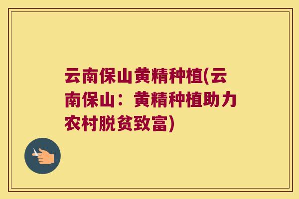 云南保山黄精种植(云南保山：黄精种植助力农村脱贫致富)