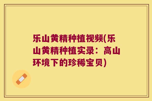 乐山黄精种植视频(乐山黄精种植实录:高山环境下的珍稀宝贝) 乐山黄精种植视频(乐山黄精种植实录:高山环境下的珍稀宝贝)
