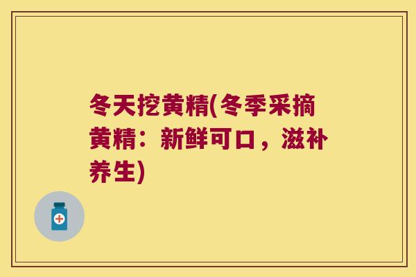冬天挖黄精(冬季采摘黄精：新鲜可口，滋补养生)