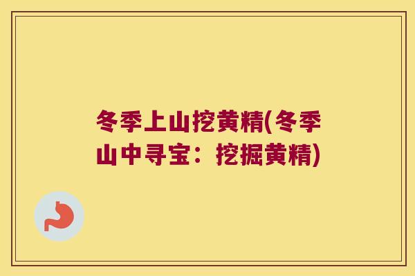 冬季上山挖黄精(冬季山中寻宝：挖掘黄精)