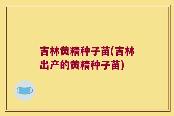 吉林黄精种子苗(吉林出产的黄精种子苗)