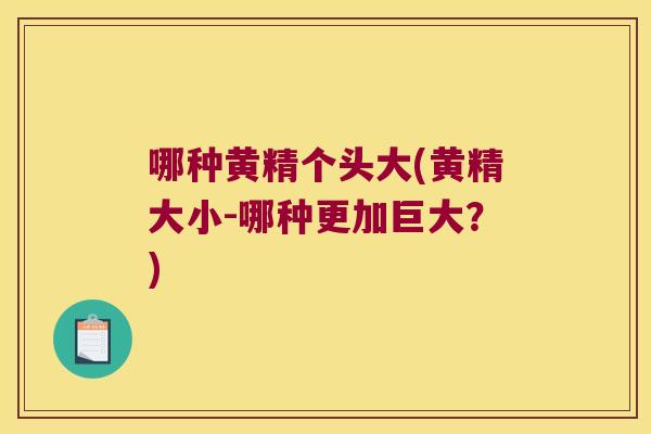 哪种黄精个头大(黄精大小-哪种更加巨大？)