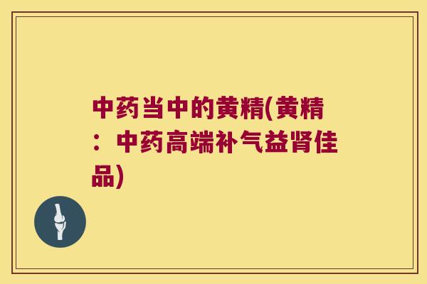 当中的黄精(黄精:高端益佳品) 当中的黄精(黄精:高端益佳品)