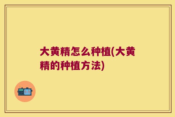 大黄精怎么种植(大黄精的种植方法)