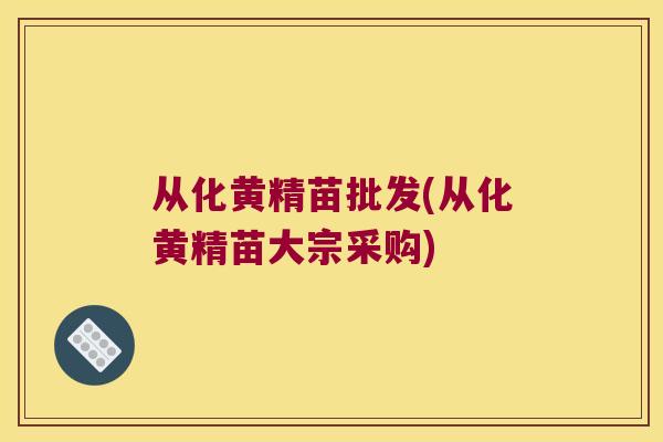 从化黄精苗批发(从化黄精苗大宗采购)