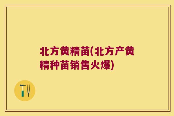 北方黄精苗(北方产黄精种苗销售火爆) 北方黄精苗(北方产黄精种苗销售火爆)