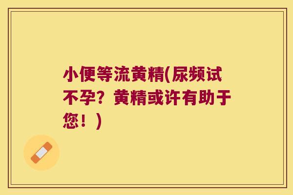 小便等流黄精(尿频试不孕?黄精或许有助于您!) 小便等流黄精(尿频试不孕?黄精或许有助于您!)
