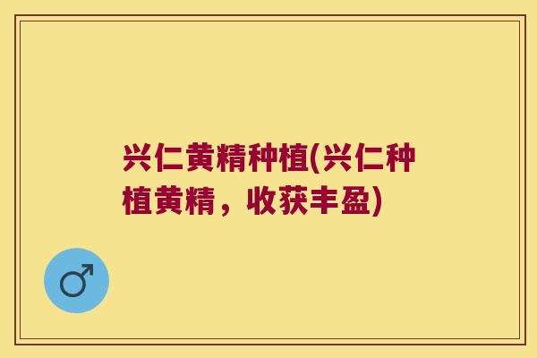 兴仁黄精种植(兴仁种植黄精，收获丰盈)