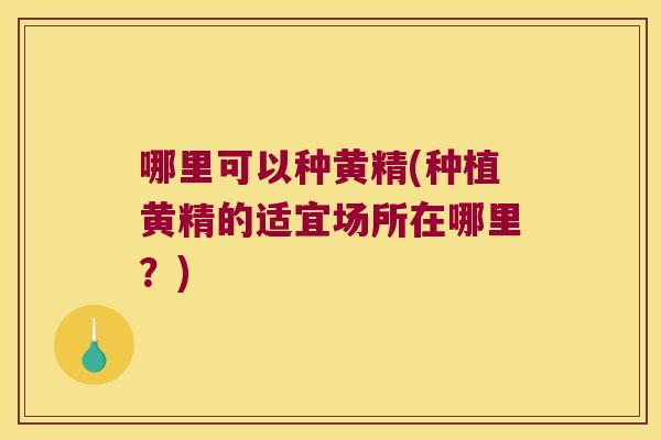 哪里可以种黄精(种植黄精的适宜场所在哪里？)