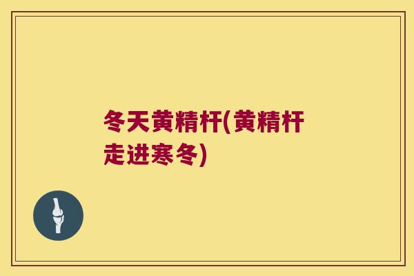 冬天黄精杆(黄精杆 走进寒冬) 冬天黄精杆(黄精杆 走进寒冬)
