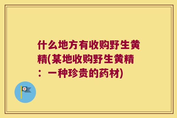 什么地方有收购野生黄精(某地收购野生黄精:一种珍贵的药材) 什么地方有收购野生黄精(某地收购野生黄精:一种珍贵的药材)