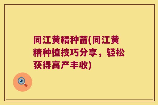 同江黄精种苗(同江黄精种植技巧分享，轻松获得高产丰收)
