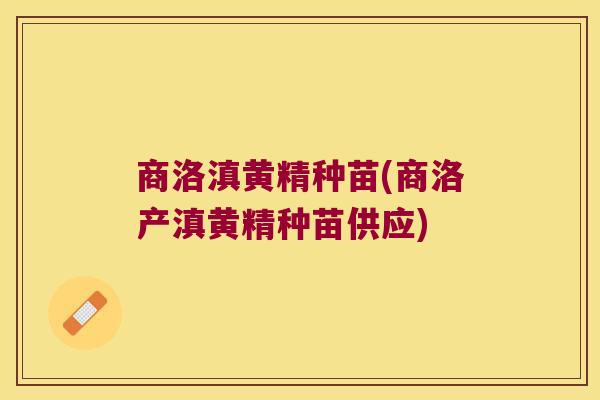 商洛滇黄精种苗(商洛产滇黄精种苗供应)
