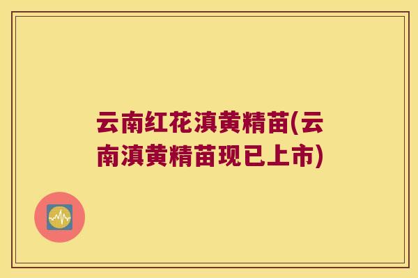 云南红花滇黄精苗(云南滇黄精苗现已上市)
