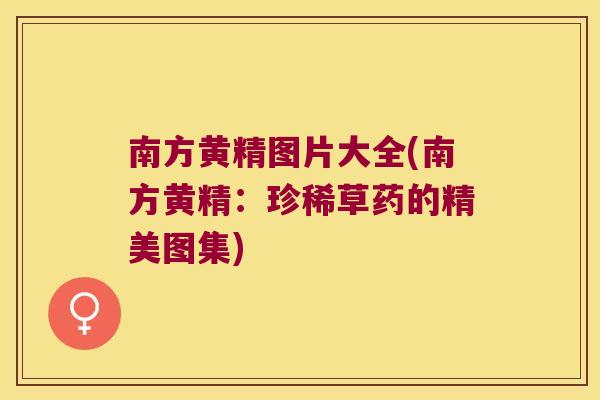 南方黄精图片大全(南方黄精：珍稀草药的精美图集)