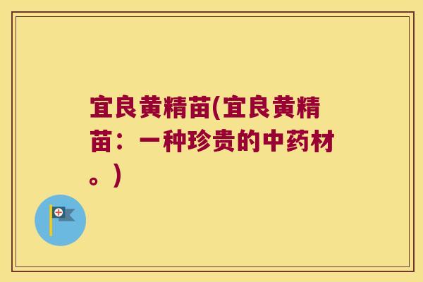 宜良黄精苗(宜良黄精苗：一种珍贵的材。)