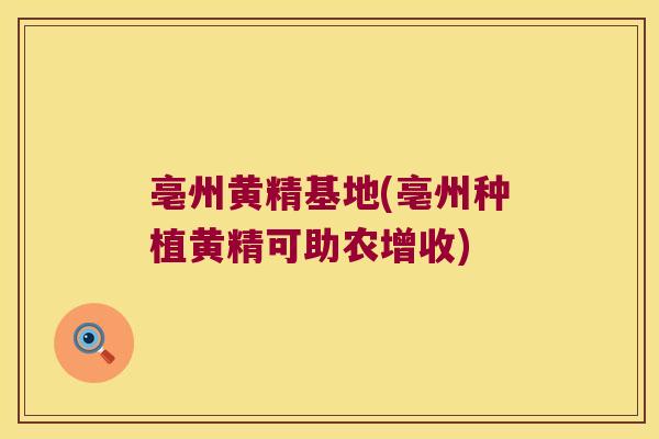 亳州黄精基地(亳州种植黄精可助农增收)