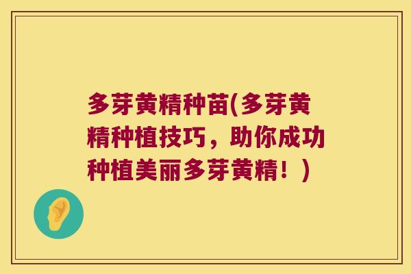 多芽黄精种苗(多芽黄精种植技巧，助你成功种植美丽多芽黄精！)