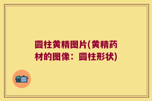 圆柱黄精图片(黄精药材的图像:圆柱形状) 圆柱黄精图片(黄精药材的图像:圆柱形状)