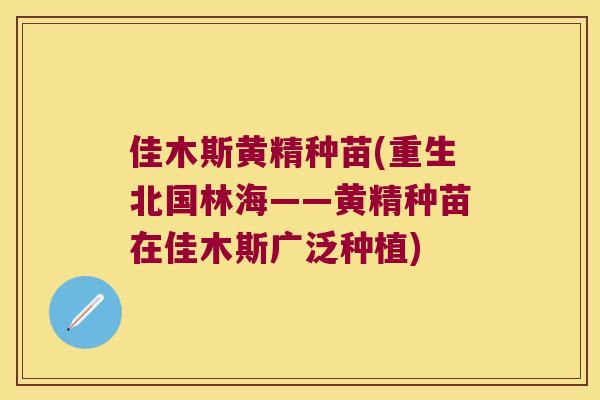 佳木斯黄精种苗(重生北国林海——黄精种苗在佳木斯广泛种植)