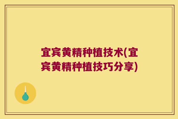 宜宾黄精种植技术(宜宾黄精种植技巧分享) 宜宾黄精种植技术(宜宾黄精种植技巧分享)