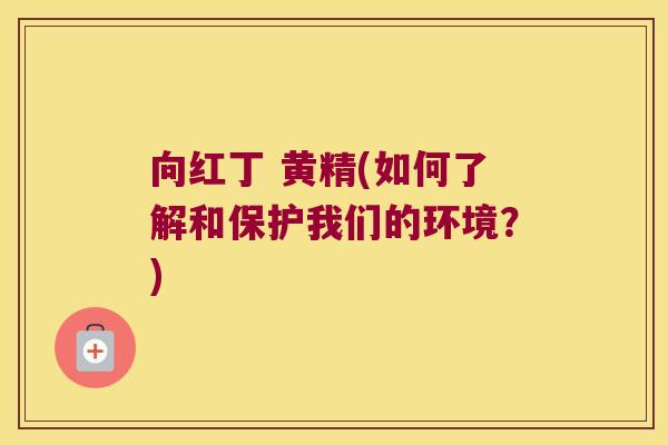 向红丁 黄精(如何了解和保护我们的环境?) 向红丁 黄精(如何了解和保护我们的环境?)