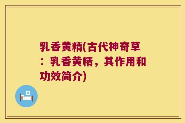 乳香黄精(古代神奇草：乳香黄精，其作用和功效简介)