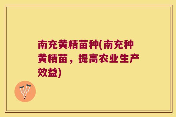 南充黄精苗种(南充种黄精苗,提高农业生产效益) 南充黄精苗种(南充种黄精苗,提高农业生产效益)