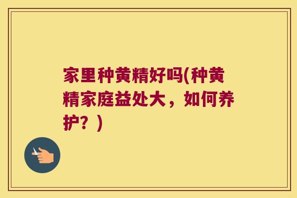 家里种黄精好吗(种黄精家庭益处大,如何养护?) 家里种黄精好吗(种黄精家庭益处大,如何养护?)