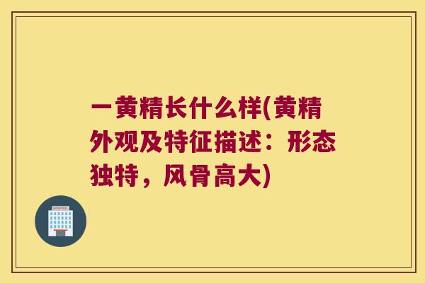 一黄精长什么样(黄精外观及特征描述：形态独特，风骨高大)