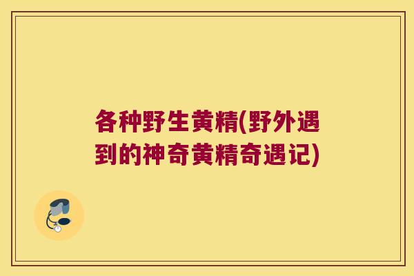 各种野生黄精(野外遇到的神奇黄精奇遇记)