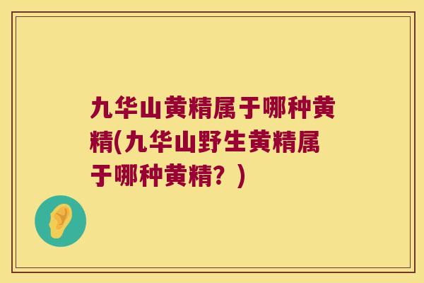 九华山黄精属于哪种黄精(九华山野生黄精属于哪种黄精？)