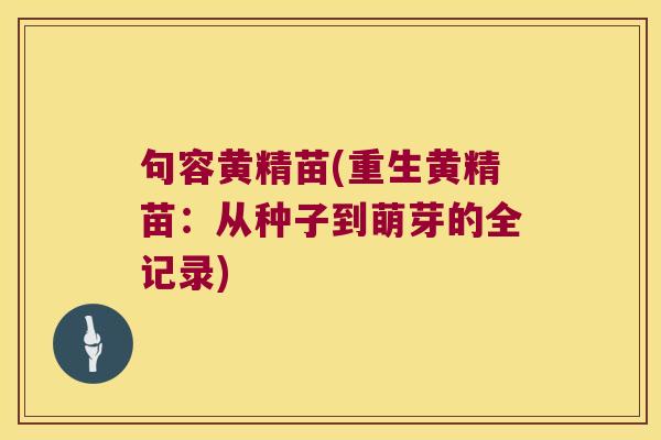 句容黄精苗(重生黄精苗：从种子到萌芽的全记录)