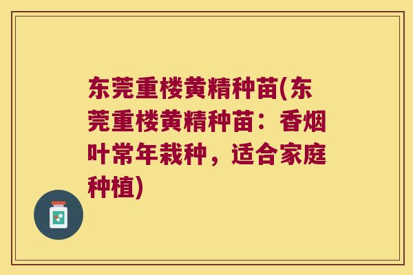 东莞重楼黄精种苗(东莞重楼黄精种苗：香烟叶常年栽种，适合家庭种植)