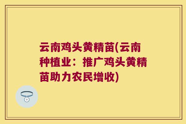 云南鸡头黄精苗(云南种植业:推广鸡头黄精苗助力农民增收) 云南鸡头黄精苗(云南种植业:推广鸡头黄精苗助力农民增收)