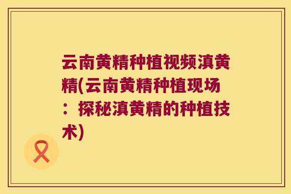云南黄精种植视频滇黄精(云南黄精种植现场:探秘滇黄精的种植技术) 云南黄精种植视频滇黄精(云南黄精种植现场:探秘滇黄精的种植技术)