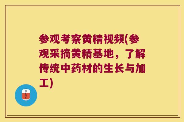 参观考察黄精视频(参观采摘黄精基地，了解传统材的生长与加工)