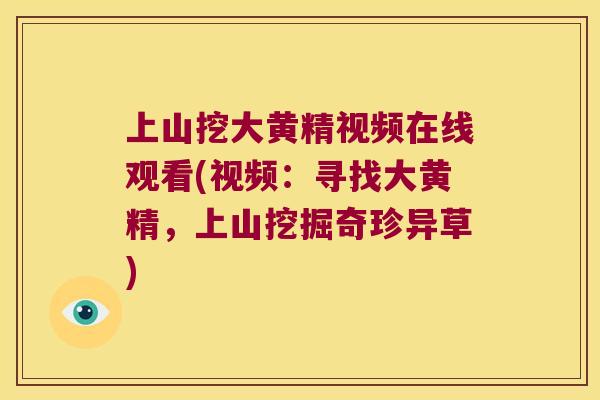 上山挖大黄精视频在线观看(视频：寻找大黄精，上山挖掘奇珍异草)