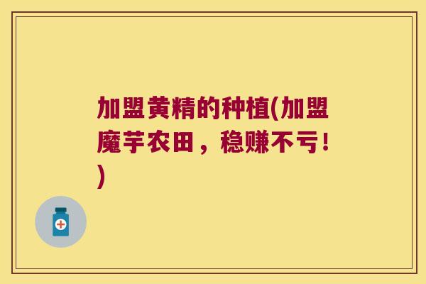 加盟黄精的种植(加盟魔芋农田，稳赚不亏！)