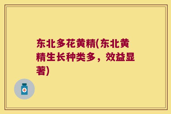 东北多花黄精(东北黄精生长种类多，效益显著)