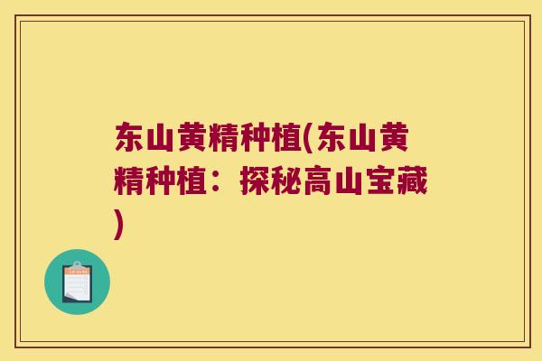东山黄精种植(东山黄精种植：探秘高山宝藏)