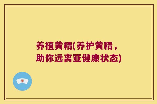 养植黄精(养护黄精，助你远离状态)