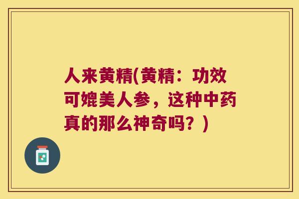 人来黄精(黄精:功效可媲美人参,这种真的那么神奇吗?) 人来黄精(黄精:功效可媲美人参,这种真的那么神奇吗?)