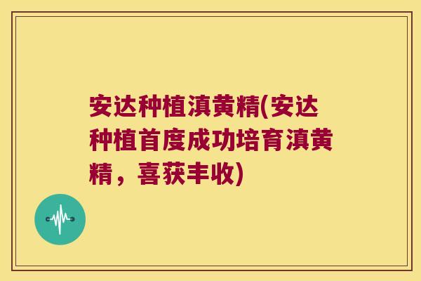 安达种植滇黄精(安达种植首度成功培育滇黄精,喜获丰收) 安达种植滇黄精(安达种植首度成功培育滇黄精,喜获丰收)