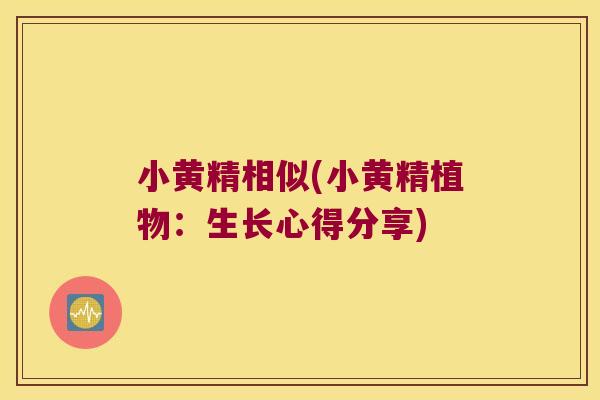 小黄精相似(小黄精植物：生长心得分享)