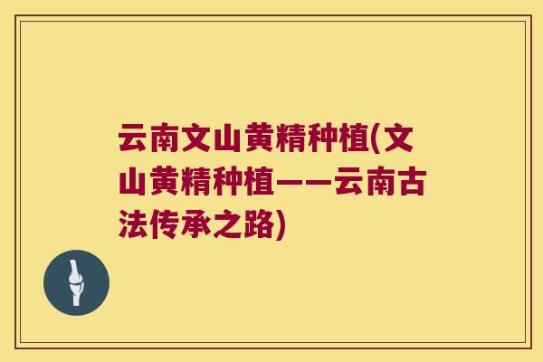 云南文山黄精种植(文山黄精种植——云南古法传承之路) 云南文山黄精种植(文山黄精种植——云南古法传承之路)