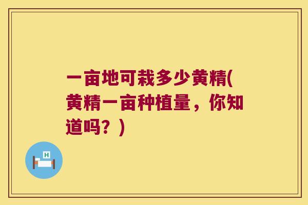 一亩地可栽多少黄精(黄精一亩种植量，你知道吗？)