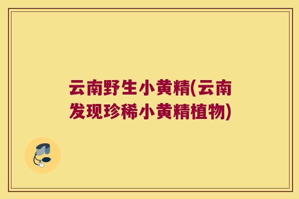云南野生小黄精(云南发现珍稀小黄精植物)